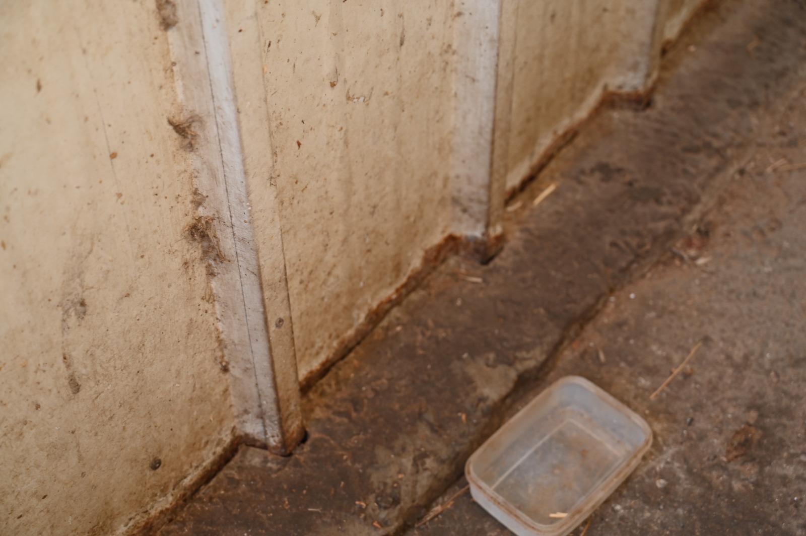 WhatsApp Image 2021-10-07 at 9.13.18 PM.jpeg